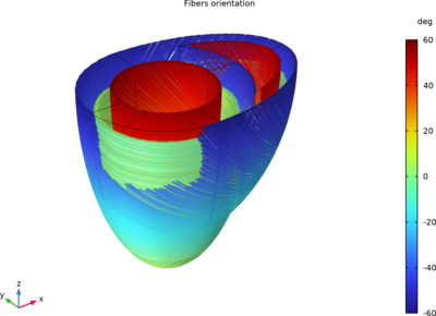双心室心脏模型
