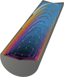 甲烷蒸汽重整器中的非等温反应流