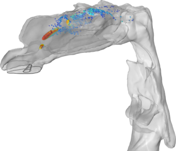 喷雾颗粒在人体呼吸道中的沉积