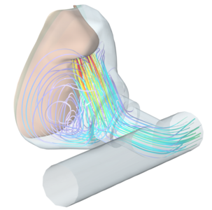 氧气面罩中的传质和传热
