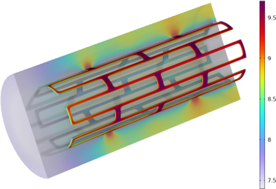 镁合金支架的生物降解
