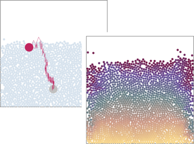 颗粒对流与巴西果效应