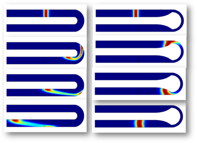 优化通过弯曲微通道的电渗流的带分散
