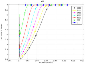 肿瘤的电化学疗法