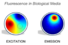 Simulation Based Approach ...