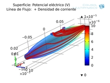 Muscle-Electrode Interface ...