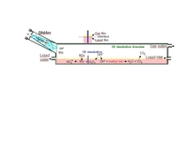 Simulation of the ...