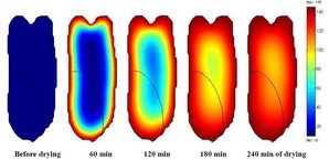 Improved Finite Element ...