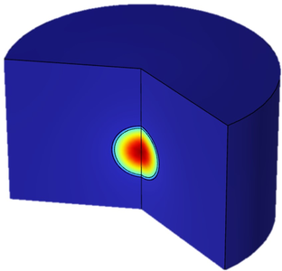 Release of the Model ...