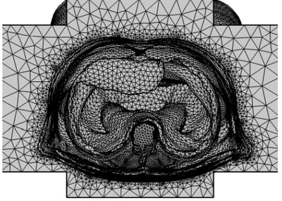 Safety and Effectiveness ...