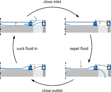 Fully-Coupled Transient ...