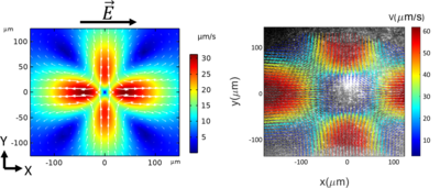 Electrothermoplasmonic Flow ...