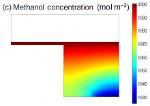 Development of Tiny Fuel ...