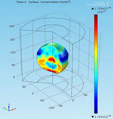 Computer Simulation of Drug ...