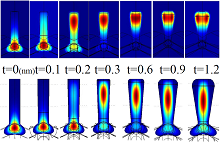 Numerical Study of Exciton ...