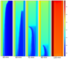 Natural Convection Driven ...