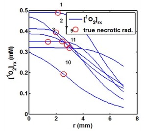 Singlet Oxygen Modeling of ...