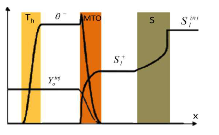 Numerical Simulation of ...