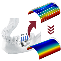 Developing 2D and 3D ...