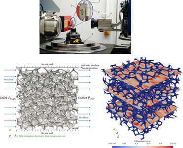 Can poroelasticity predict ...
