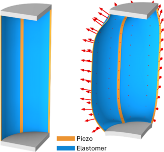 Multiphysics Simulation of ...