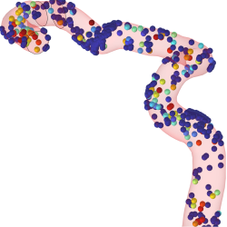 In silico Delivery of ...