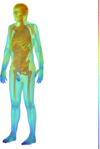 Human Thermoregulation and ...