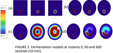 COCOA FERMENTER MODELS