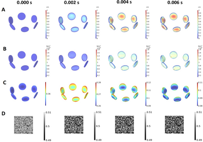 紫薯射频变温压差膨化过程中的多相运输、相变及大形变