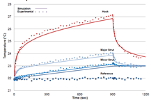 Transient RF Heating of a ...