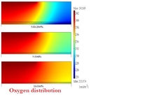 Optimizing Fuel Cell Design ...