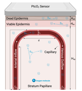 COMSOL Simulation of ...