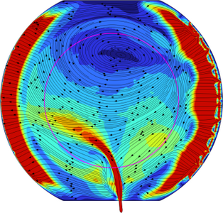 Simulation of Gas Flow and ...