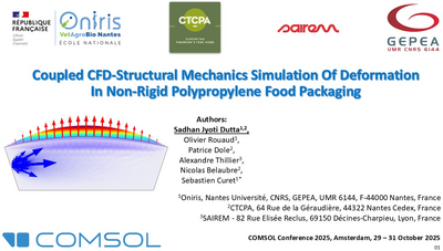 Coupled CFD–Structural ...