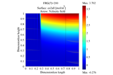 Simulation of Gas/Liquid ...