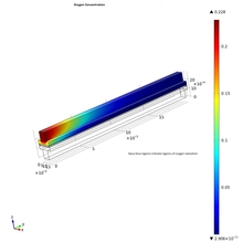 Estimation of Localized O2 ...