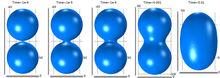 Simulation of the ...