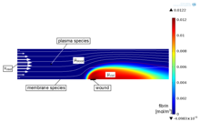 Effects of Flow and ...