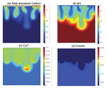 Reactive Transport and ...