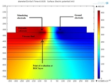 Simulation of the Electrode ...