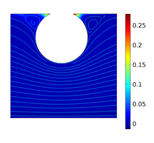 Numerical Simulation of ...