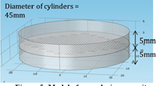 Simulation of a Capacitive ...