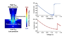 Numerical Modeling of the ...