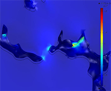 Modeling the Effect of ...