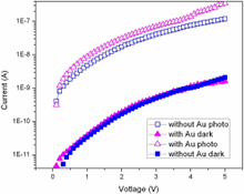 Au Nanoparticle-based ...
