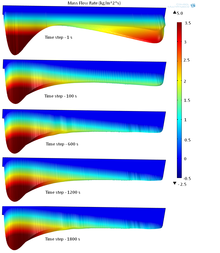 Simulation of the Molten ...