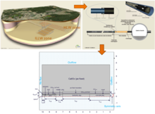 Evolution of the ...