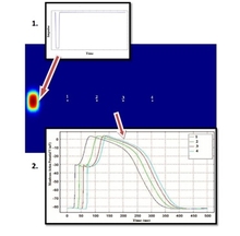 2D Simulation of Cardiac ...