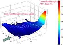 A Dual Continuum Model for ...