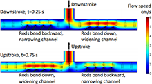 Simulations of Micropumps ...